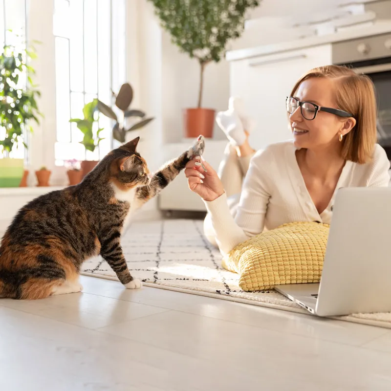 Frau mit Katze. 