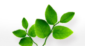 Nachhaltige Fonds und ETFs beim S Broker