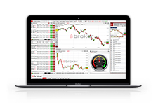 Top-Trader-Status